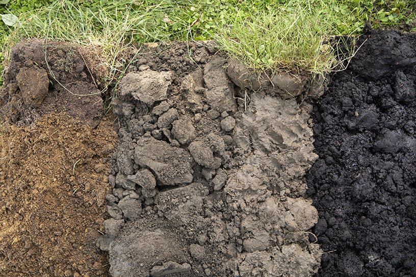 Verschillende grondsoorten van links naar rechts: zand, zeeklei, rivierklei en veen. 